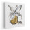 «Gilded Vase I», reproduction d'art sur toile