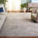 Calidia Oriental Beige/Cream Area Rug