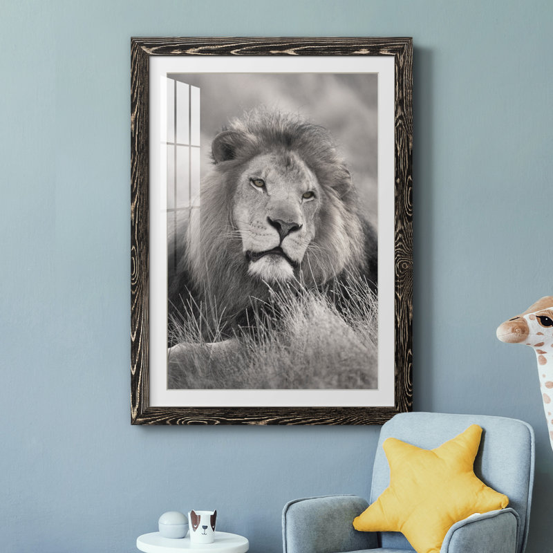 " Pride Of The Pride ", Black Framed, 31.5" H x 23.5" W x 1.5" D