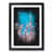 Black Framed selected