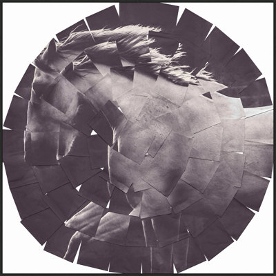 Equestrian Circle Collage Print by StudiObjet
