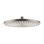 Raindance 300 Rain Shower Head