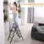 Aluminum Step Ladder-612413733