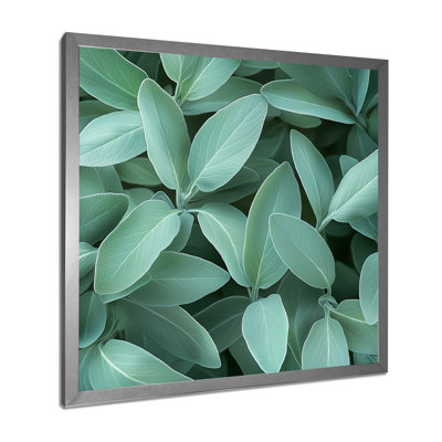 Feuilles de sauge - feuilles, art mural