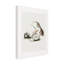 Vintage Agaricus Augustus, impression sur toile-94233368
