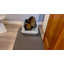 Litter Box-2006033366