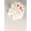 Paradise Gardens of Valencia Scented Jar Candle
