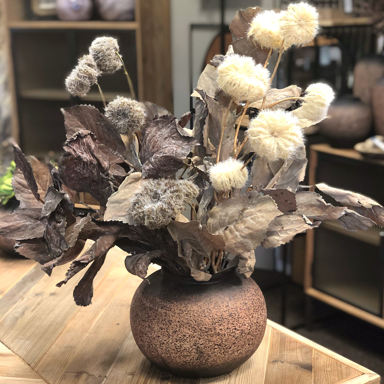 Hydrangea Leaf Stems