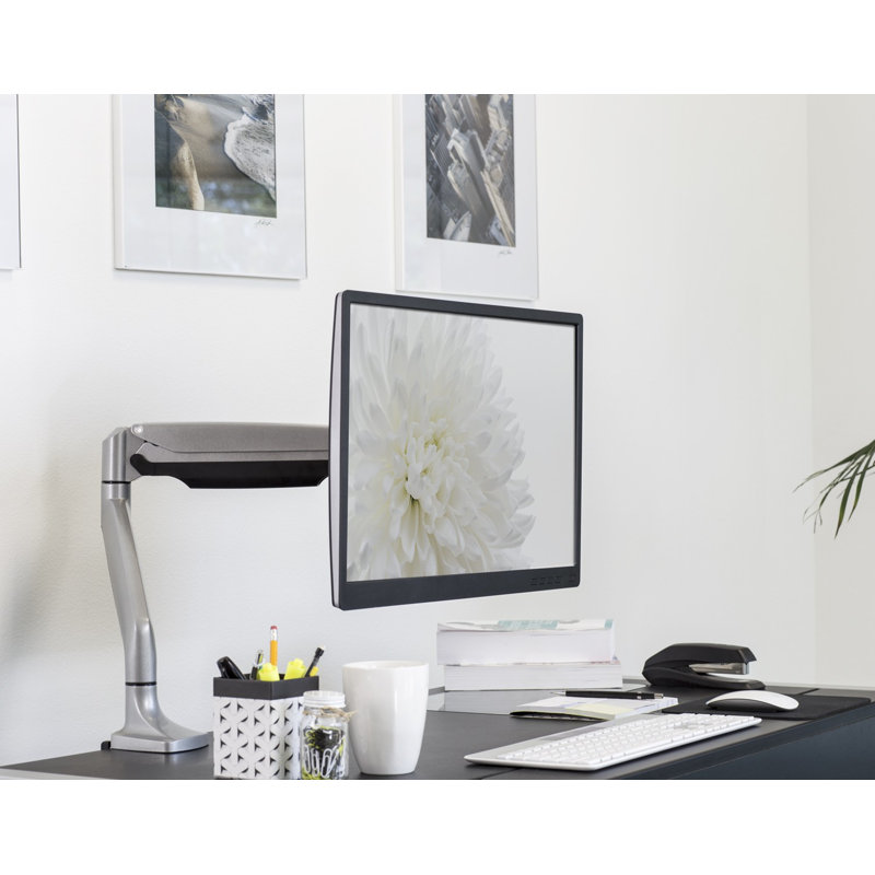 Monitor Height Adjustable Desk Mount