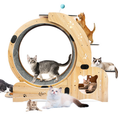 Grande roue d'exercice pour chat - économise de l'espace dans votre maison 61