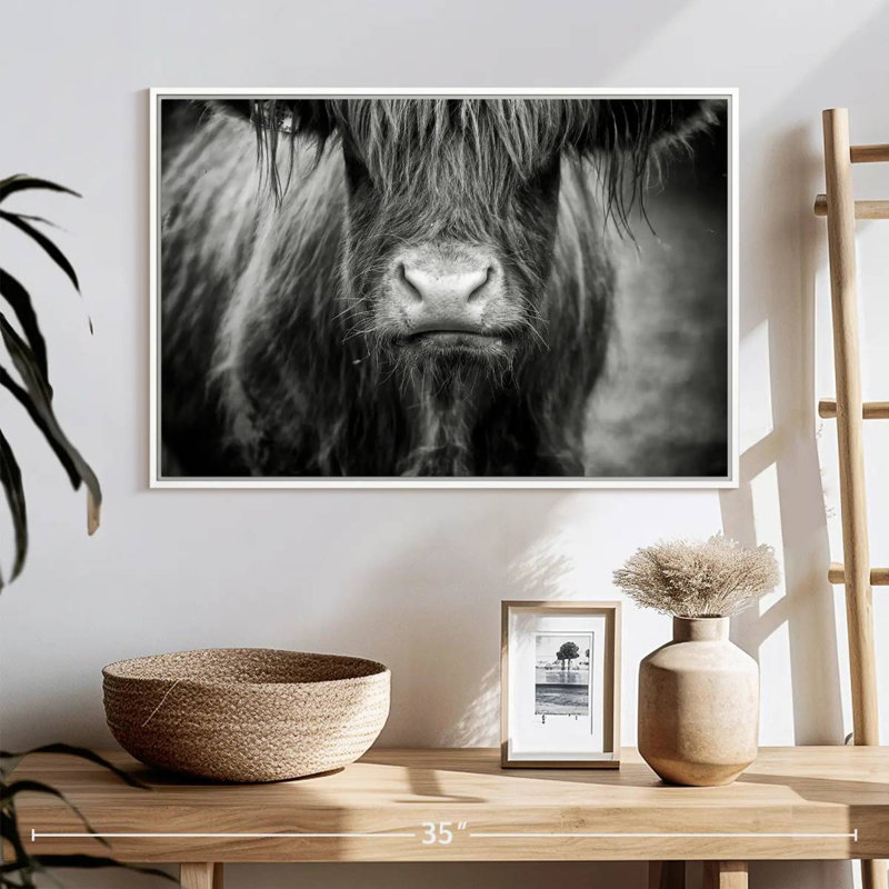 Vache Highland, Cadre flottant blanc, 25 po x 17 po