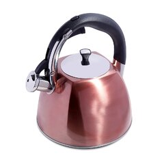 Mr. Coffee BVMC-HTKSS200 Hot Tea Maker and Kettle, Stainless Steel 