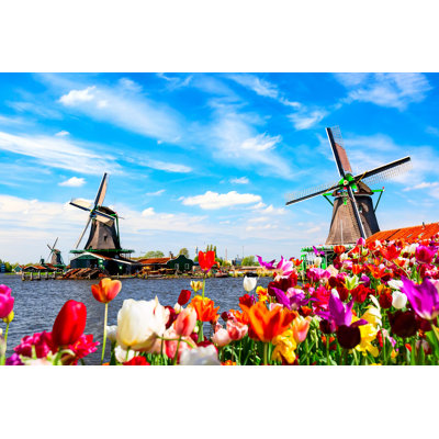 " Dutch Spring Landscape " by Nantonov