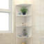 Birender Corner Bookcase