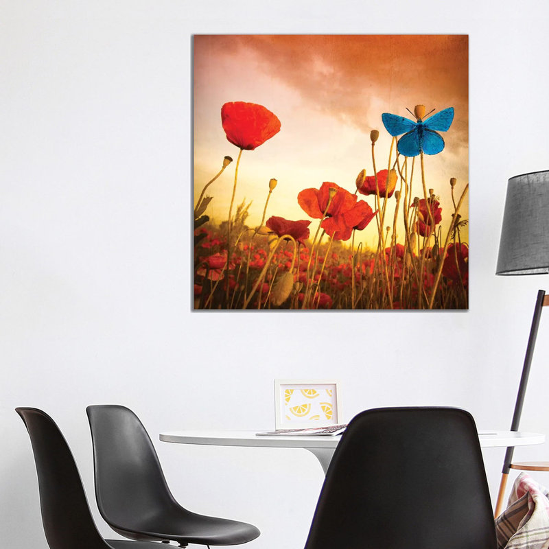 Poppies Dream by Marco Carmassi - Wrapped Canvas Gallery-Wrapped Canvas Giclée, 93.98 cm H x 93.98 cm W x 1.91 cm D