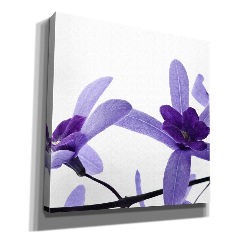 «Purple Blossom 2» par Photoinc Studio, art mural sur toile, 12 po x 12 po, H 18 po x l 18 po x P 0,75 po