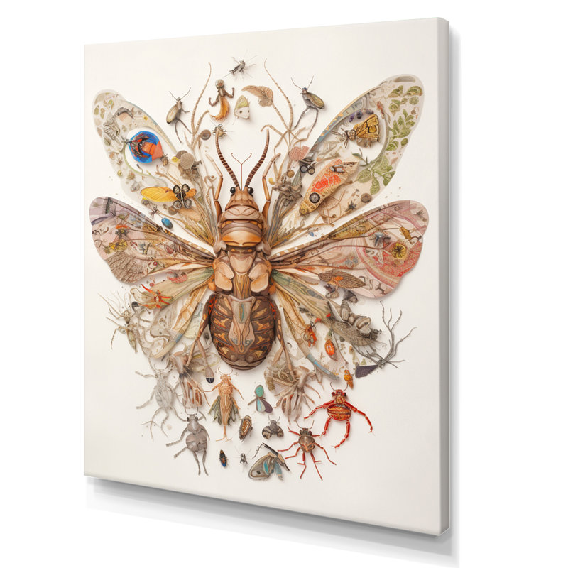 Illustration rétro de papillon de nuit brun, Toile tendue, H 20 po x l 12 po x P 1 po