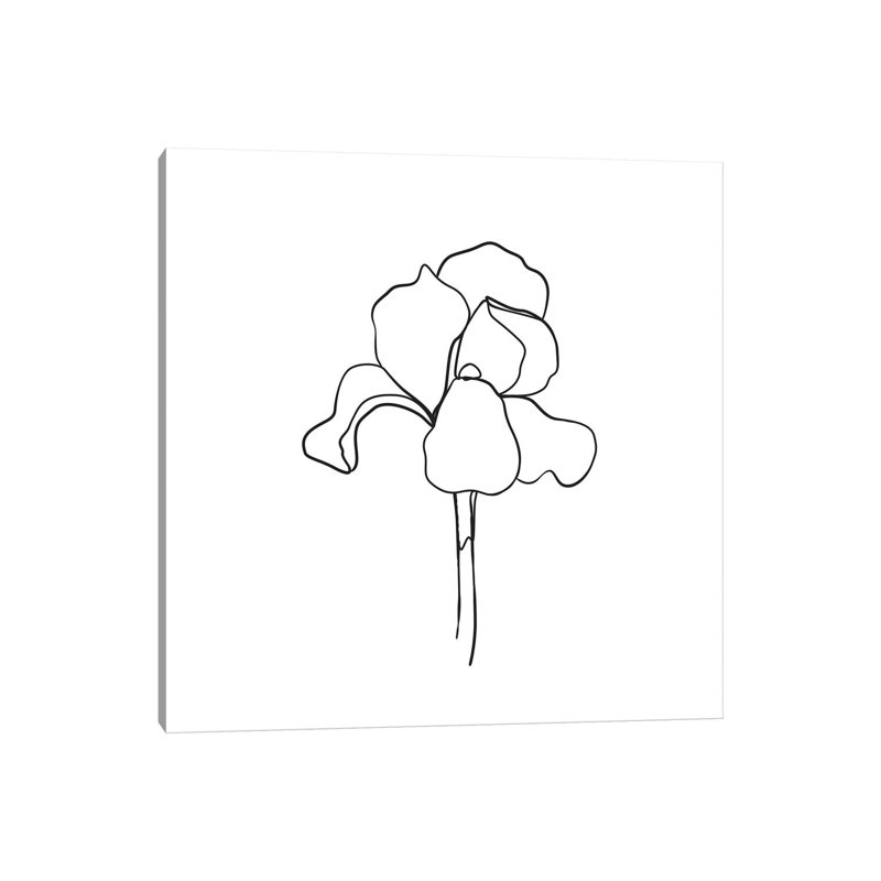 Botanical No. 5 by Blek Prints - Wrapped Canvas Square Print, 45.72 cm H x 45.72 cm W x 1.91 cm D