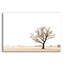 «Bleached Bones Of Winter» par Keri Bevan-1108312923