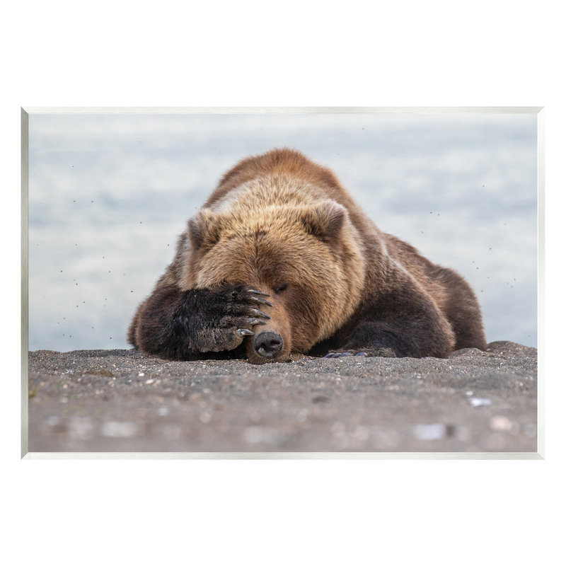 " Monday Blues Bear " by Eric Fisher, H 10 po x l 15 po x P 0,5 po
