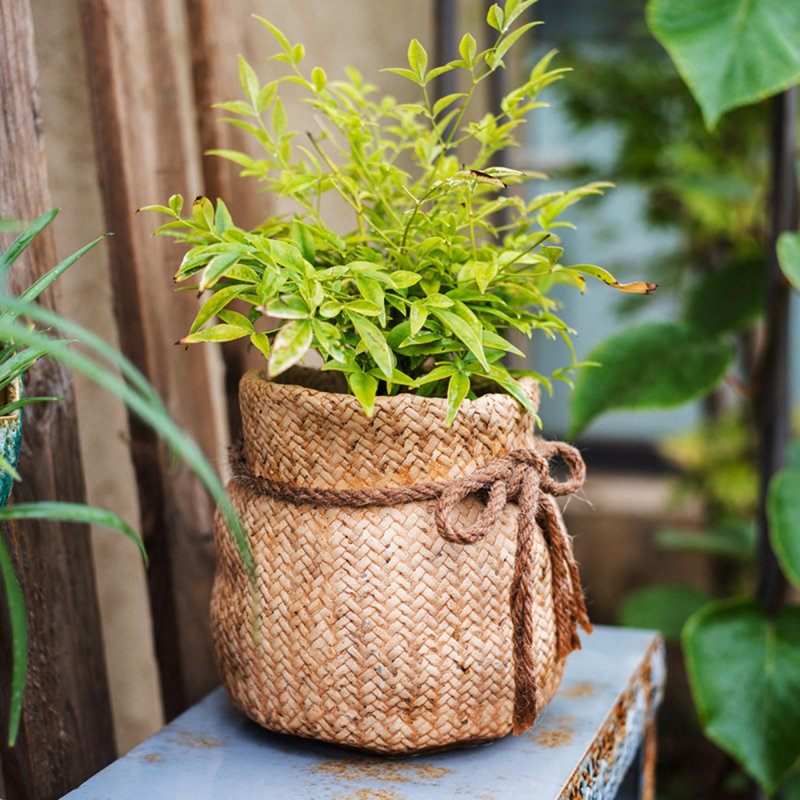 Claxten Handmade Pot Planter, 11.02" H x 11.02" W x 8.6" D