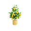 Citronnier artificiel pour table de cuisine, comptoir, chambre à coucher, 23 x 7 x 7, vert