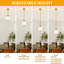 Luminaire suspendu moderne en cristal à 1 lumière à hauteur réglable-1992093969