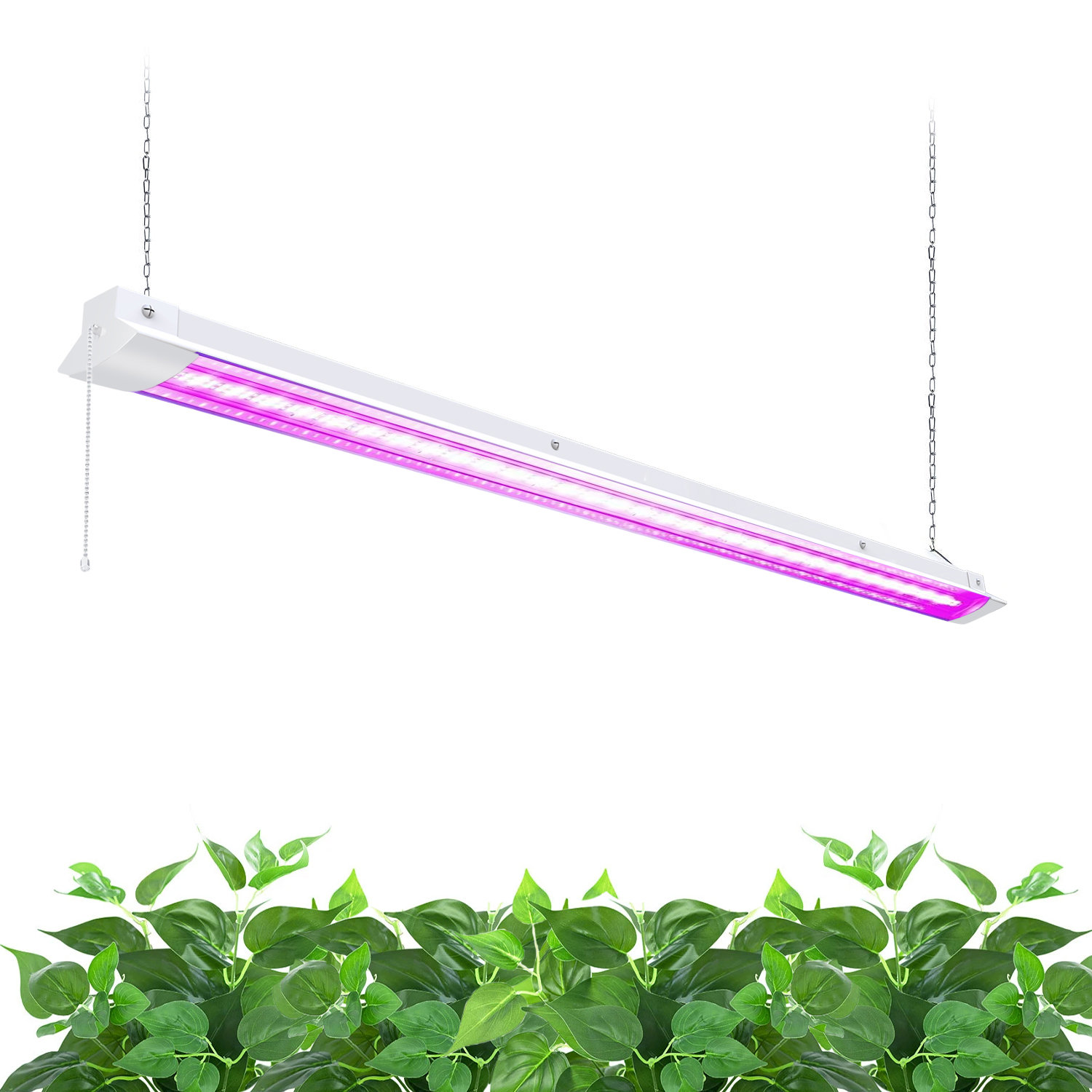 Arlmont & Co. 10 Watt Grow Light & Reviews | Wayfair