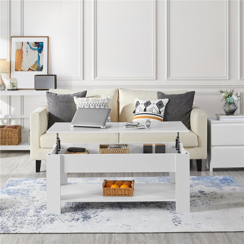 Table basse Ajeem, H 19,5 po x L 47,5 po x l 23,5 po, Brun rustique