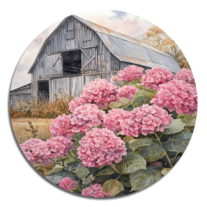 Hortensias dans la vieille cour de ferme - Hydrangea, H 23 po x l 23 po