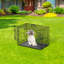 Cage pour chien Tulane-38437504