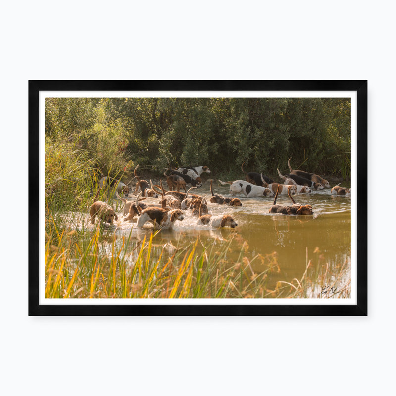 Hunt Club Swim Print