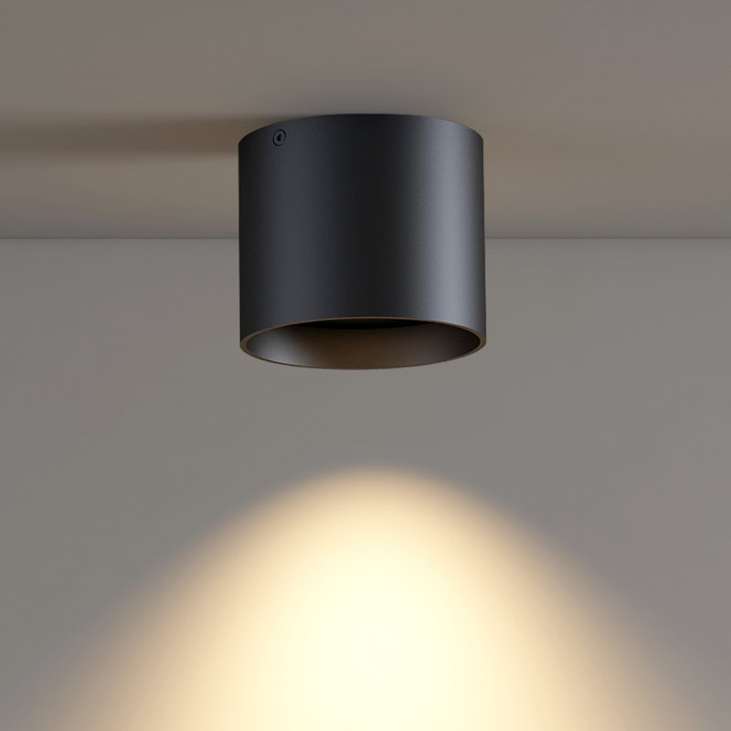Ceiling Light Fixture, Flush Mount Ceiling Lights LED Dimmable Cylinder Ceiling Light Spot Light for Living Room Hallway Kitchen Dining Room Foyer 3000K 14.5W  Black