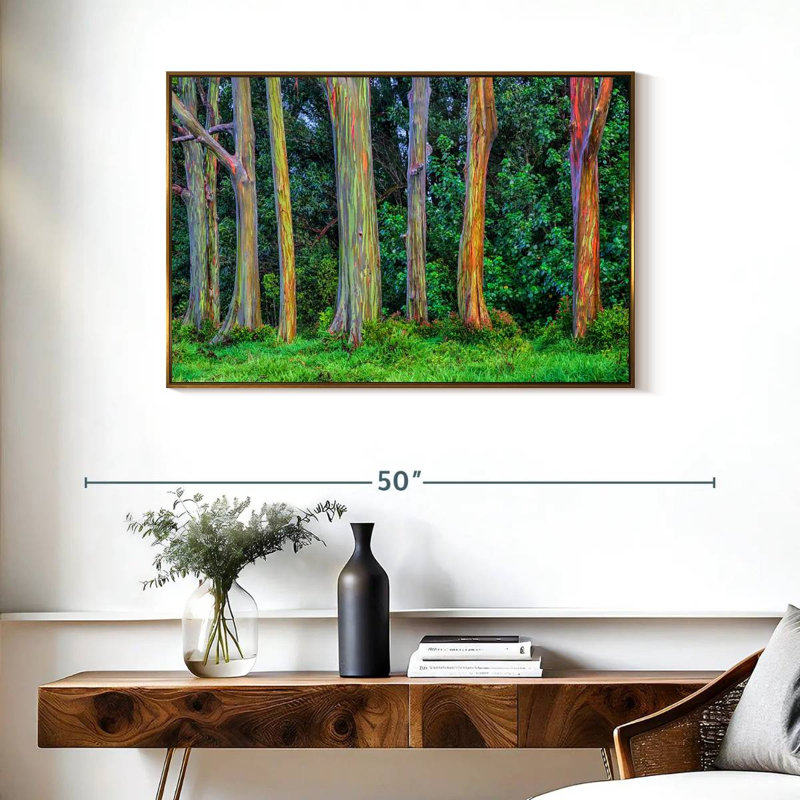 Eucalyptus arc-en-ciel, Cadre flottant doré, 37 po x 25 po