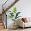 Faux Plant-1534334904-1534334908