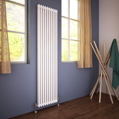 Jazlyn Vertical Traditional Colosseum Radiator