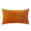 Ensemble de 2 housses de coussin en velours-249040406-200190356