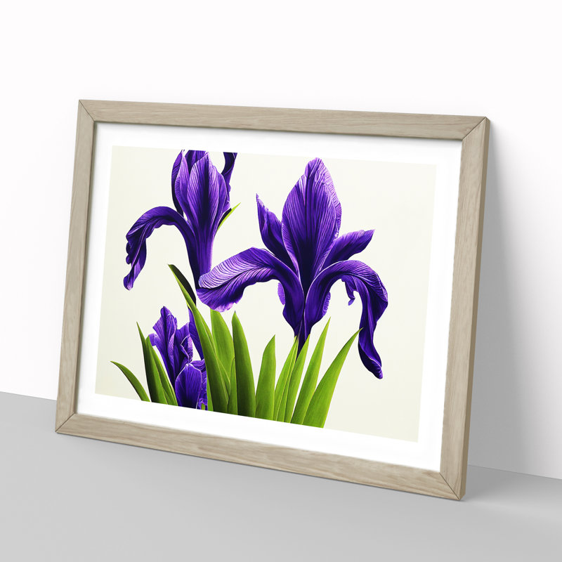 Spectacular Iris Flowers - Framed Print, 46cm H x 64cm W x 2cm D, Oak