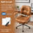 Adden Ergonomic 360° Swivel Office Chair with Adjustable Gas Lift-1676221903