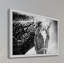 Cadre photo « white cheval mask », impression sur papier-199323281-196614988