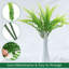 14.5 Plante