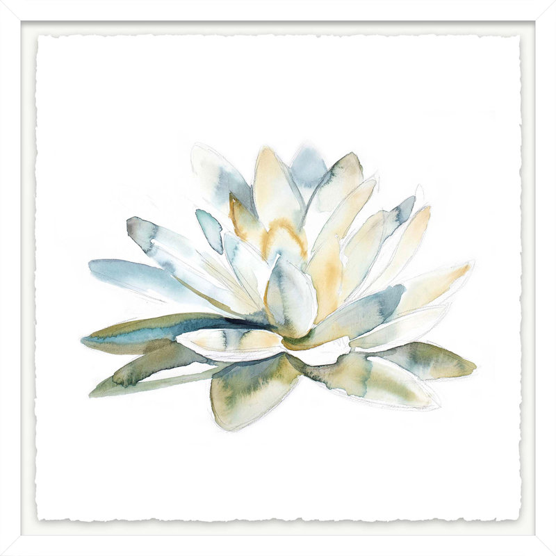 Elizabeth Becker " Lotus No. 3 " by Elizabeth Becker