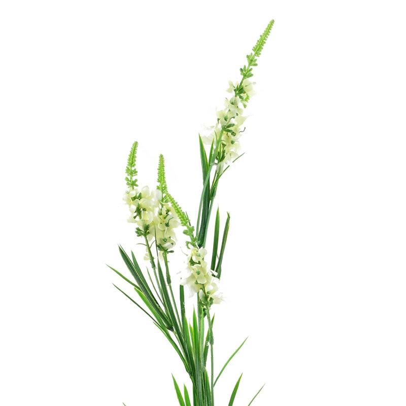 Pack of 6 x 80cm White Larkspur Stem