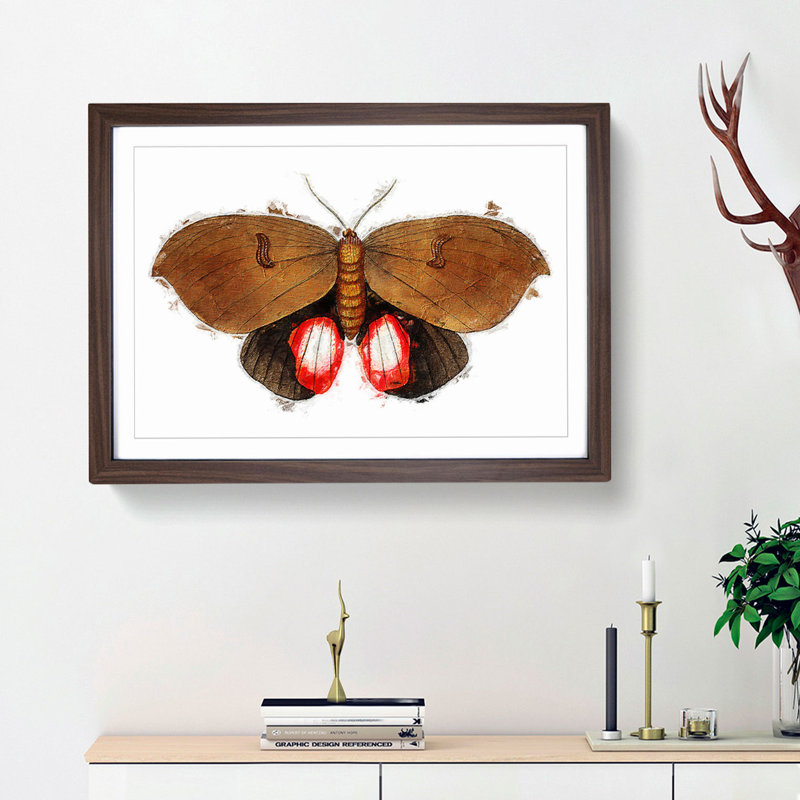 Augusta Moth by George Shaw - Single Picture Frame Painting, Walnut Framed, 24cm H x 33cm W x 2cm D