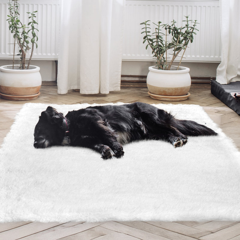 Tapis à poils longs avec fond antidérapant Cheer Collection 32 po x 61 po - blanc, Rectangle 2 pi 8 po x 5 pi 1 po