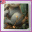 Paire de couvre-lits mignons Koala-126736972