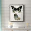 «Antique Blue Butterflies I», toile encadrée de qualité supérieure - prête à être accrochée-945602272-945602302