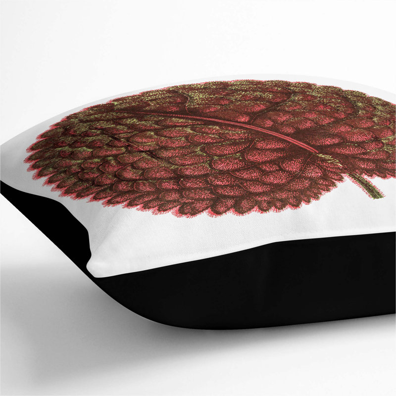 Square Throw Cushion, 40cm H x 40cm W x 15cm D, Black