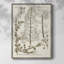 «Sépia Botanical Journal», reproduction encadrée en bois massif-565164953