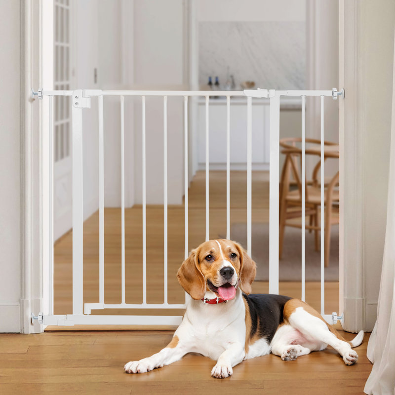 Barrière 30 "de haut pour animaux de compagnie, barrière pour bébés, H 30 po x l 40,5 po x P 2 po, Blanc